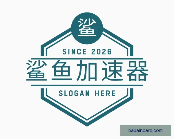了解鲨鱼加速器破解版